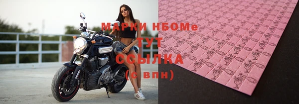 индика Переславль-Залесский