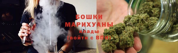 индика Переславль-Залесский