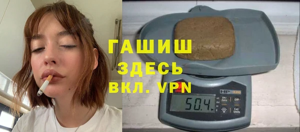 индика Переславль-Залесский