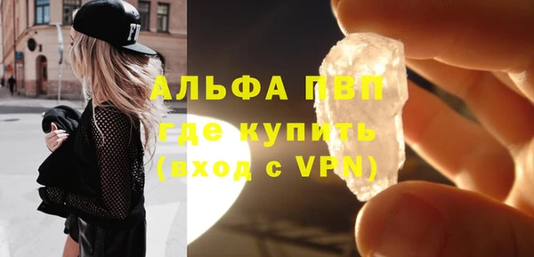 индика Переславль-Залесский