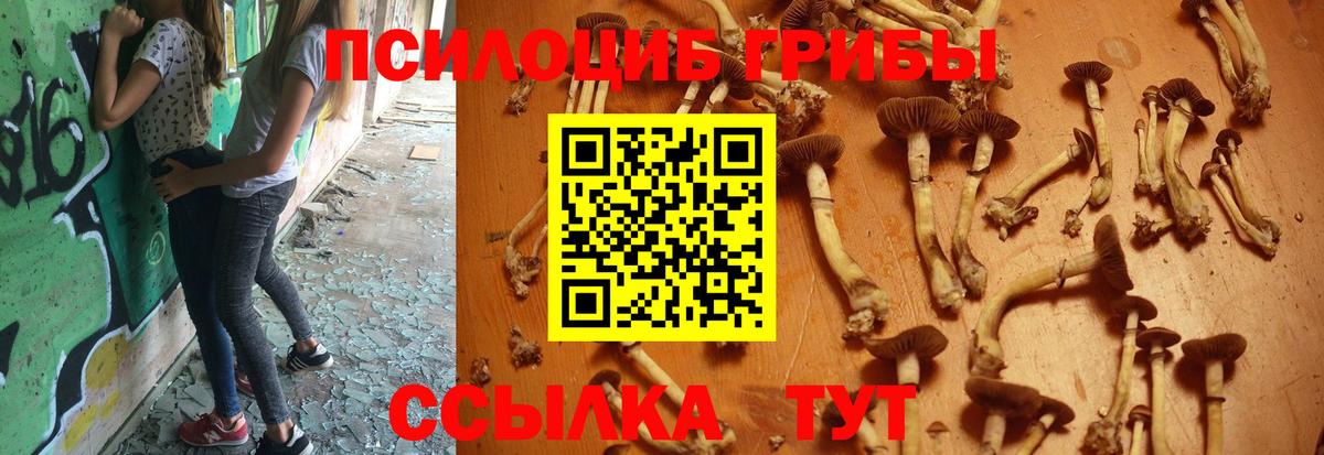 Галлюциногенные грибы прущие грибы Борисоглебск