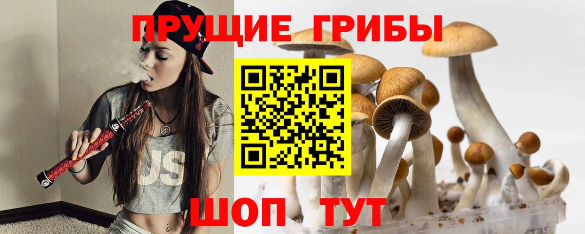 Псилоцибиновые грибы Psilocybine cubensis  магазин    Борисоглебск  Вход с VPN 
